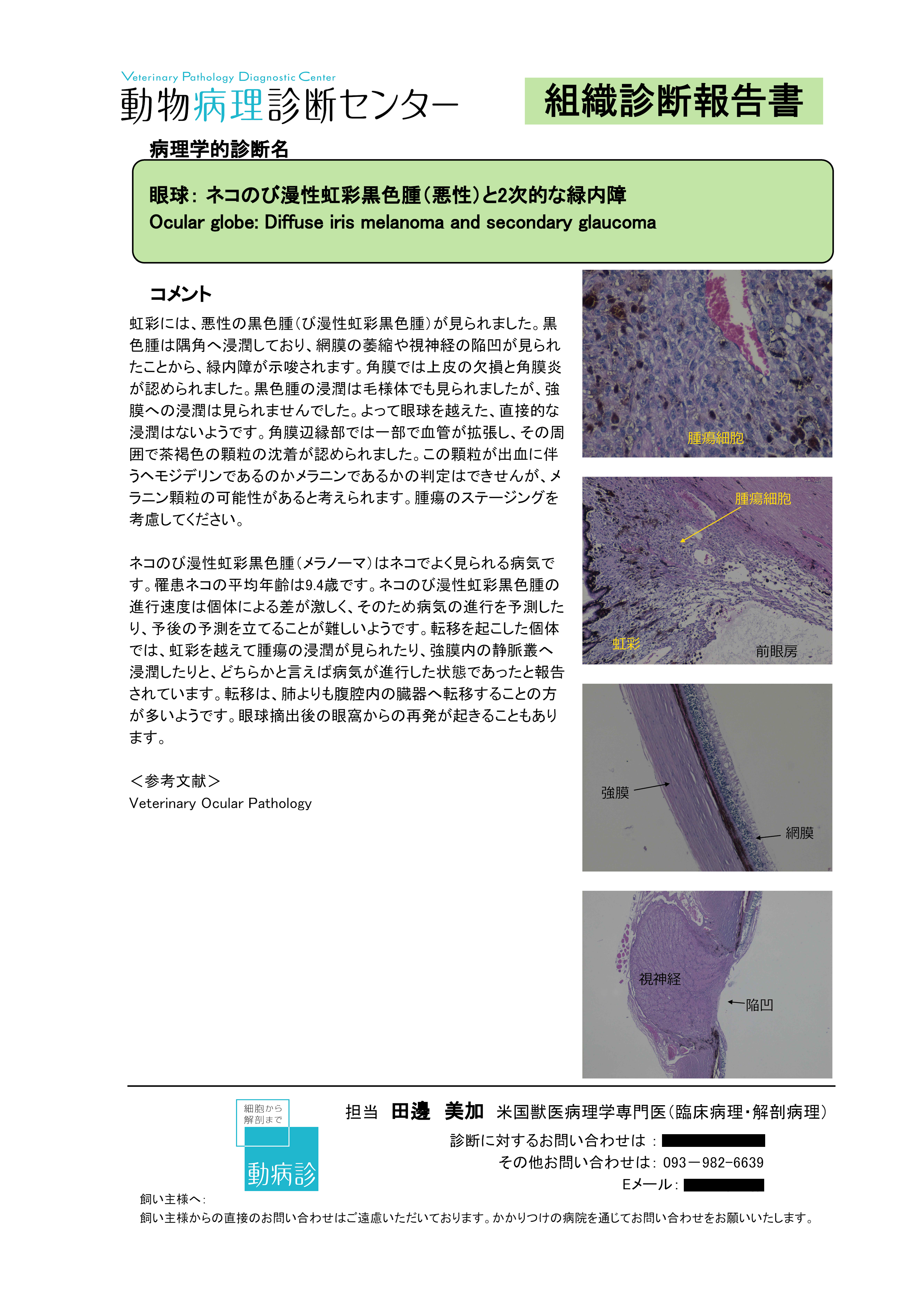 報告書（眼球摘出サンプル）_